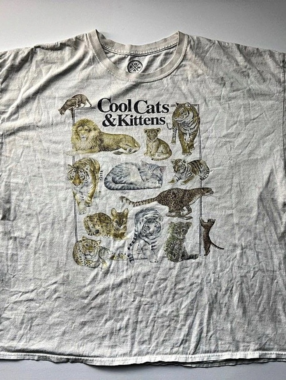Dom Cool Cats & Kittens Graphic Tee 3XL